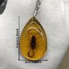 1PC Insect Specimen Amber Keychain Hanging Small Gift Car Key Bag Keychain Hanging Ornament