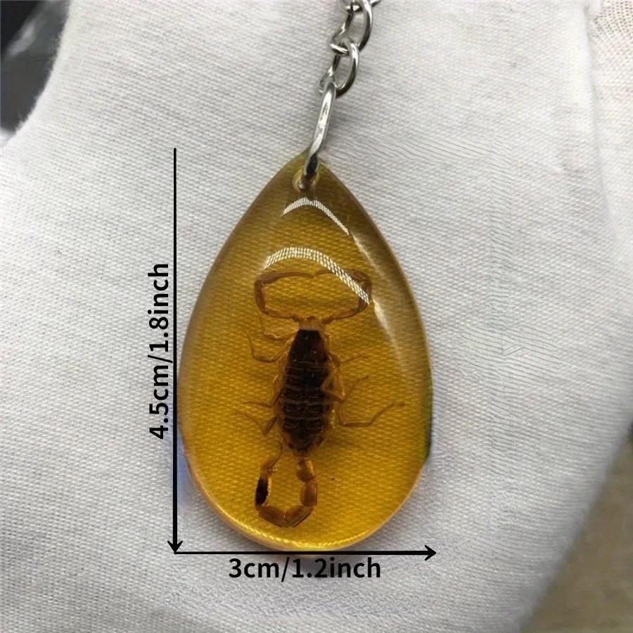 1PC Insect Specimen Amber Keychain Hanging Small Gift Car Key Bag Keychain Hanging Ornament