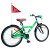 Kids Bike 18 Inch for Ages 5 7 Green