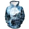 Spring Autumn Hooded Sweatshirt 3D Digital Printing Unisex Hoodies Men Women Fashion Loose Pullover