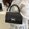 2025 Spring New Niche Design Messenger Bag Casual Fashion Women's Bag Simple Commuter Foreign Shoulder Bag