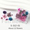 Nail Art Dried Flowers Japanese Mixed Filled With Star Hydrangea Small Wrinkled Chrysanthemum Box Decoration Nail Dried Flowers