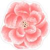 Pastoral Lotus Floor Mat Special-shaped Door Gasket Flower Carpet  Living Room Tea Table Bedside