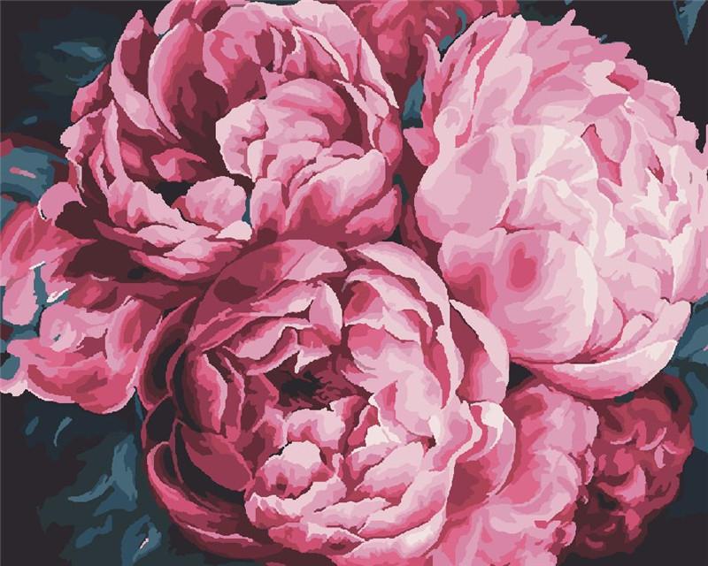 GATYZTORY 40x50cm Frame Painting By Numbers For Adults Color Flower Oil Picture HandPainted Diy On Canvas Home Wall Art