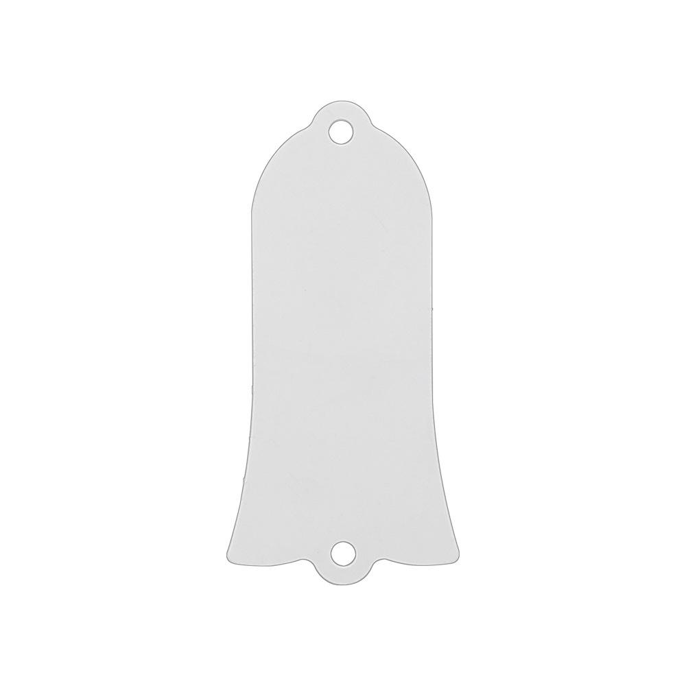 Electric Bass Guitar 2-Hole Headstock Truss Rod Cover Plate, Iron Core Guard.