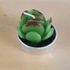 New simulation succulent plant candles, rose candles, 44 product combinations, and special-shaped paraffin candles