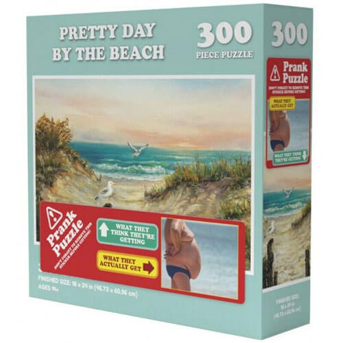 Doing Things Prank Puzzle 300pcs (Beach)