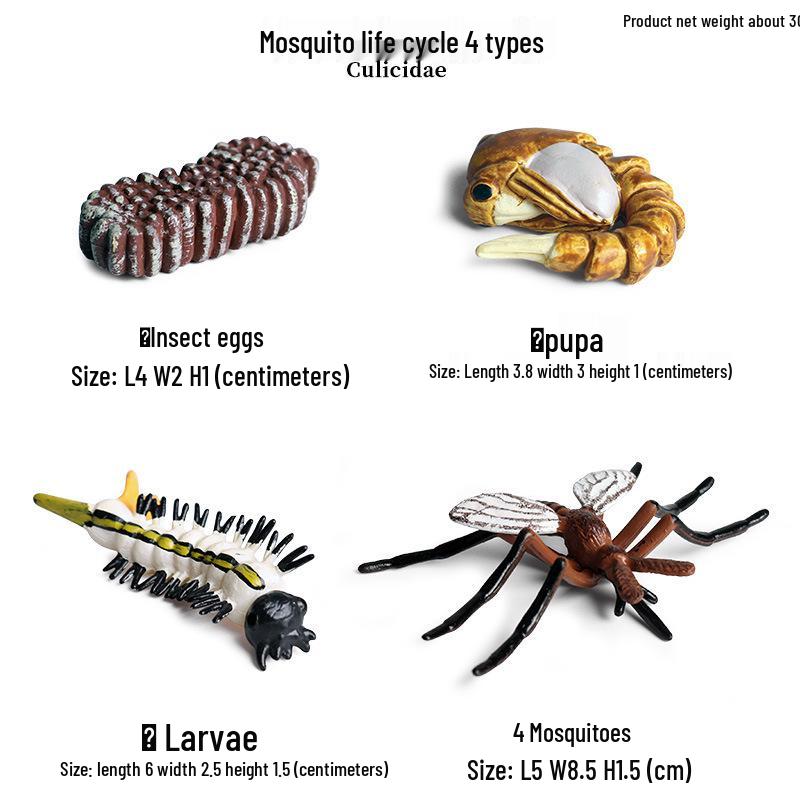 Lion Pride Simulation: Male & Female African Lion Figurines - Plastic Wild Animal Action Models