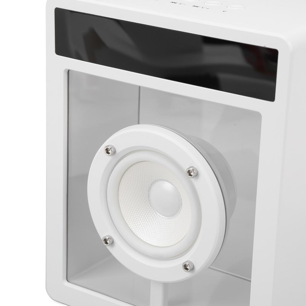 Portable Bluetooth Speaker 360° Surround Sound 10W Karaoke Machine with Ambient Lights and Lyrics Di