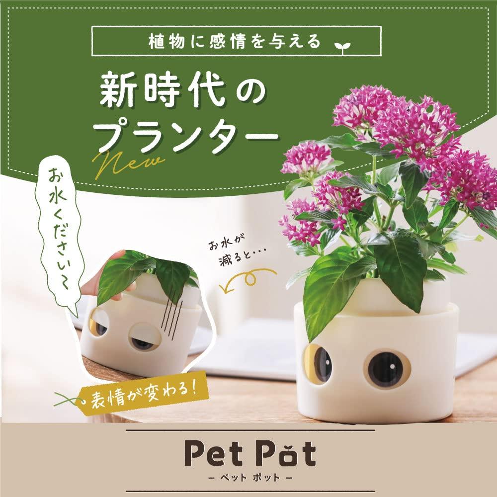 [Amepura] Pet Pot Pet Pot Planter Plant Watering Home Garden (1)