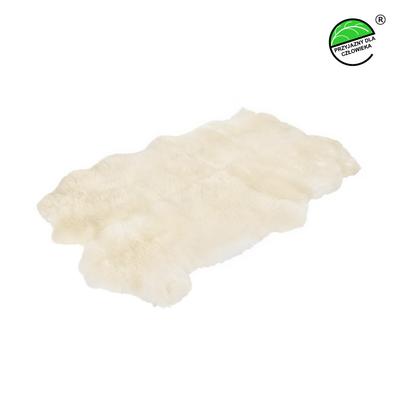 Carpets & Rugs – Rugs & Mats