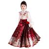 2025 Spring & Autumn Girls' Hanfu Skirt Set: Chinese Tang Style