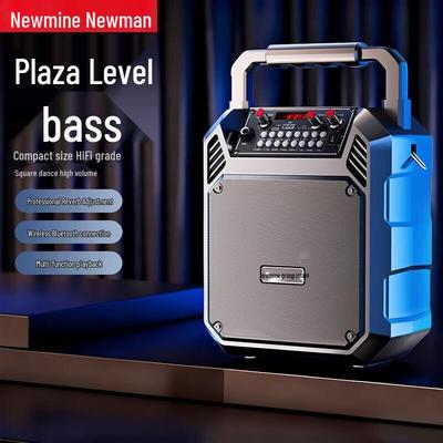 Newmine K511 Portable Bluetooth Speaker with Karaoke & Radio CN Plug (adapter Included)