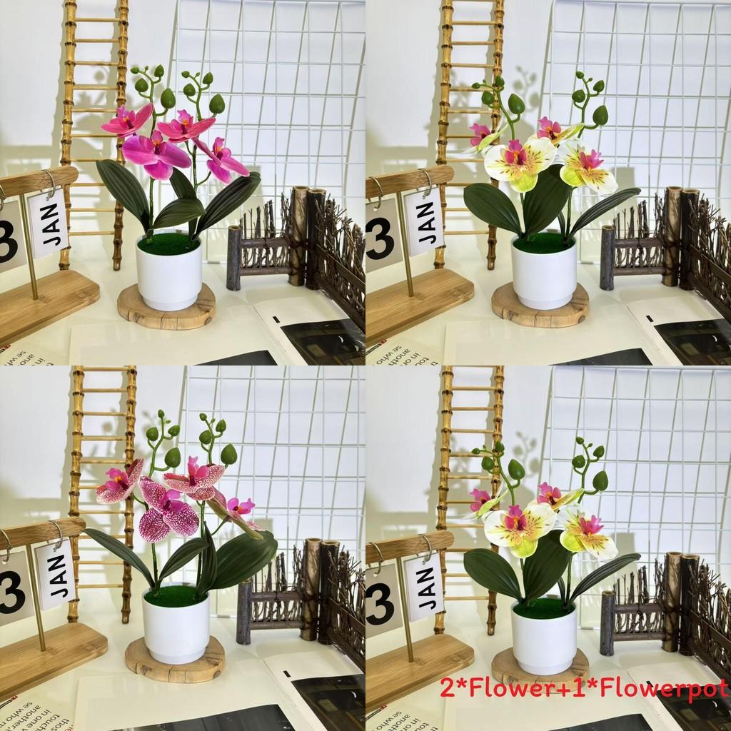 Butterfly Orchid Imitation Flower Set For Home Interior And Outdoor Garden Decoration