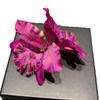 Double Bloom Orchid Hair Clip: Beach Vacation & Performance Accessory for Photo or Video Shoots