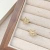 Delicate Star Earring Fashion Simple Personality Versatile Women Jewelry Gift for Party Daily Wear Occasion Style Trendy