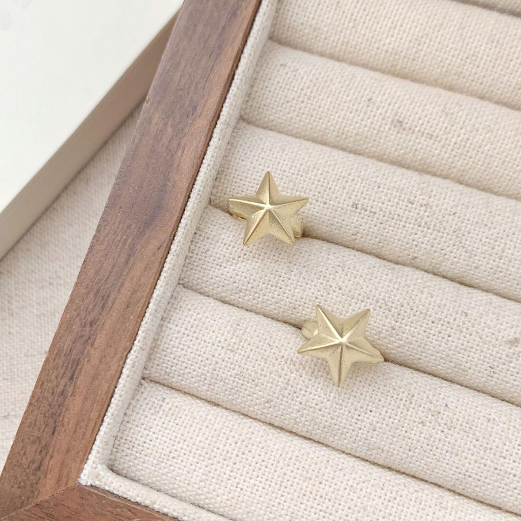 Delicate Star Earring Fashion Simple Personality Versatile Women Jewelry Gift for Party Daily Wear Occasion Style Trendy