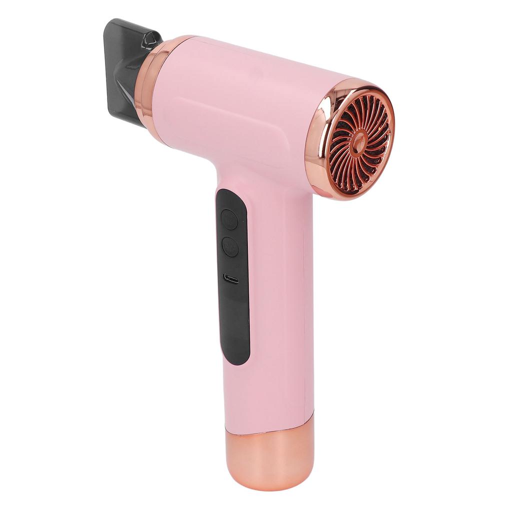 Hair Blow Dryer Wet and Dry Use 200W Powerful Hair Dryer Portable Multifunctional Pet Blow Dryer for Travel