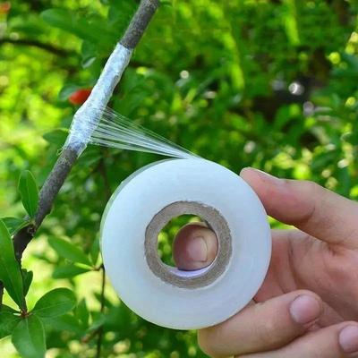 2 Stück PE Pfropfband Folie Selbstklebend Garten Obstbaum Wickel Dehnbare Folie für Baumschule Pfropf Zubehör 3/4CM.