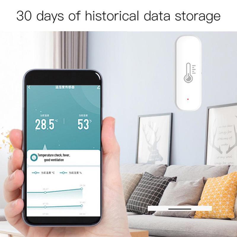 Graffiti Smart WiFi Temperature and Humidity Sensor for Home