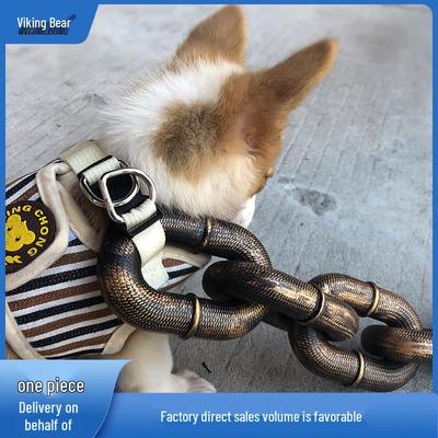 Köpek – Köpek Tasmaları ve Tasma Kayışları