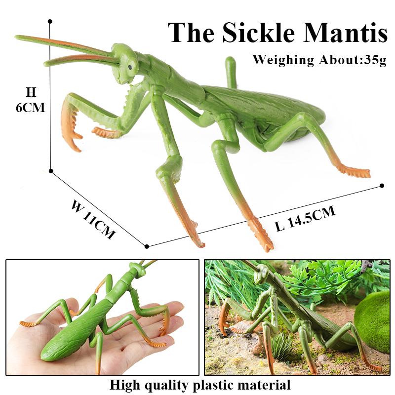 Oenux Insect Animals Model Figurine Butterfly Ant Dragonfly Spider Bee Mantis Scorpion Action Figures Educational Kid Toy Gift