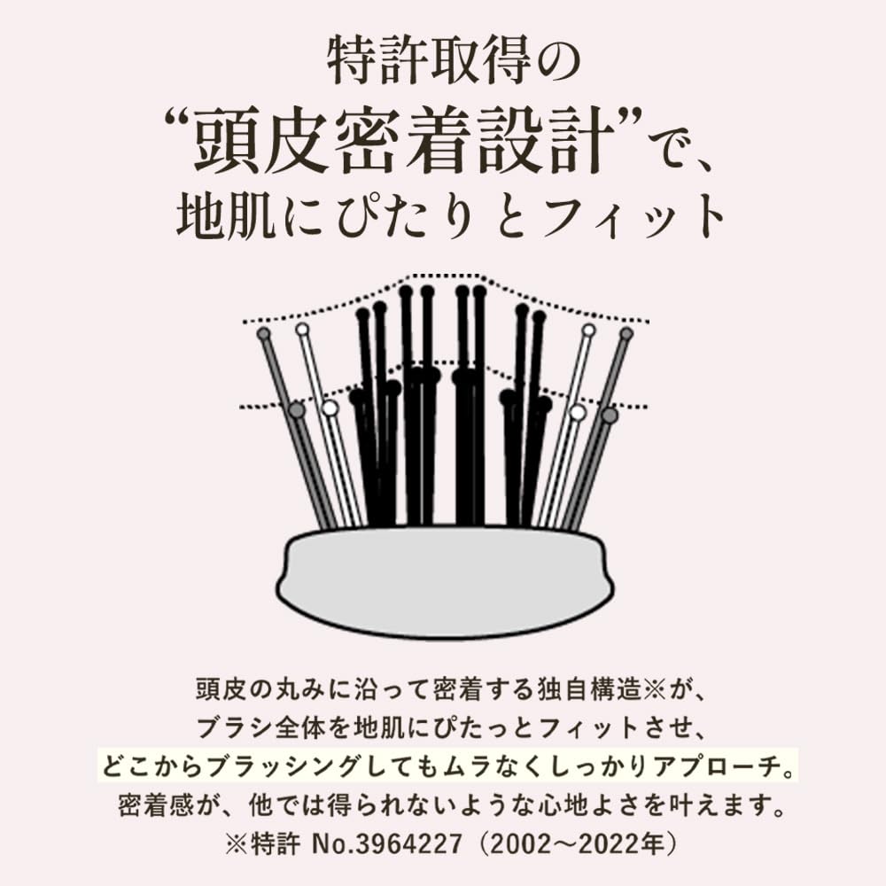 Store S HEART S World Premium Long Scalp Shampoo Hair Lift Hair Scalp Scalp Stylist Includes Official S HEART S Beauty Book [Official Exclusive]