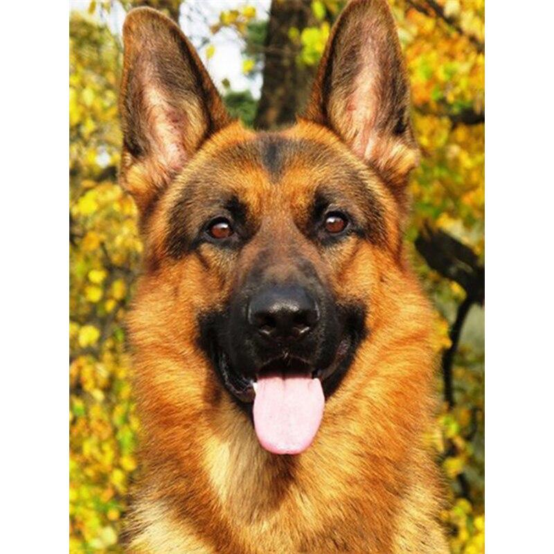 

Новый 5D DIY алмазная живопись горшечные растения Алмазная вышивка животные вышивка крестиком полная круглая дрель домашний декор ручной подарок Full Round 25x35CM