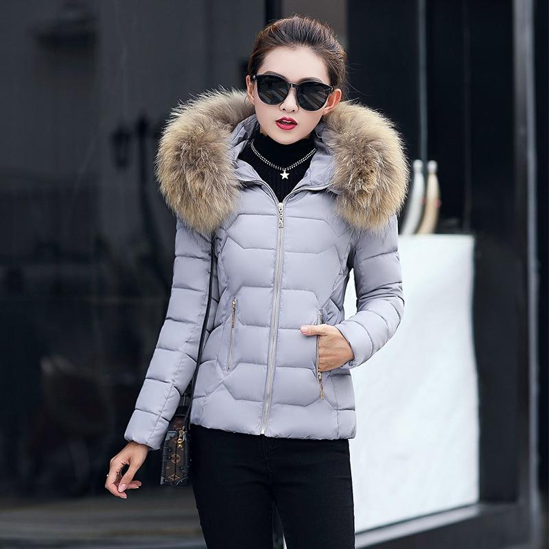 Womens Short Slim Quilted Winter Coat With Fur Hooded Collar And Stylish Design