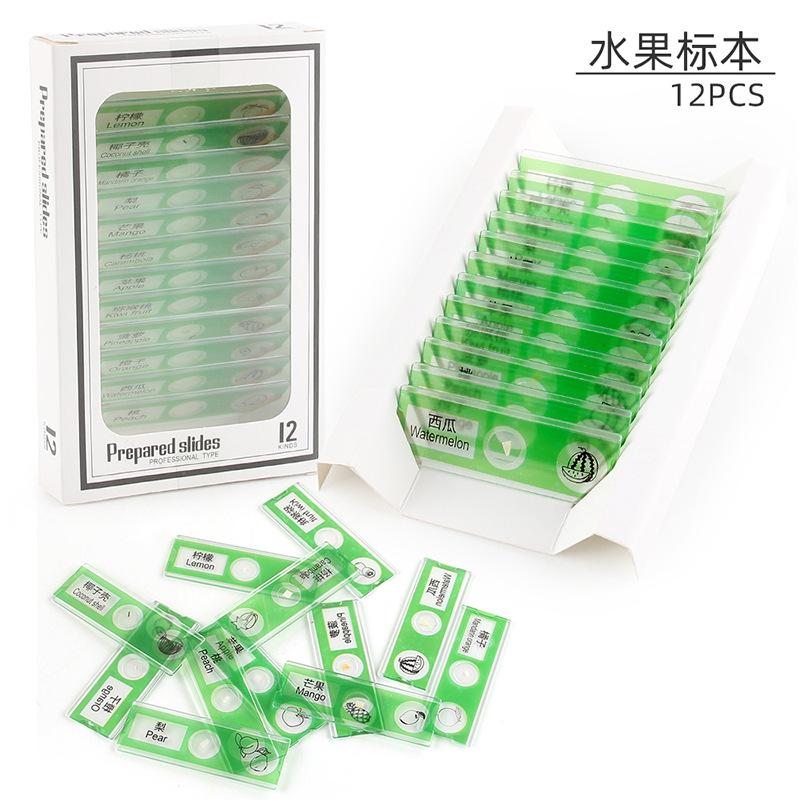 Children'S Microscope Animal Plant Insect Fruit And Vegetable 12Pcs Biological Specimen Set Scientific Experiment Toy Accessories