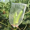 Nylon-Netzbeutel, Obst-Insektenbeutel, Vogelbeutel, Reis-Einweichbeutel, Samenbeutel, Zuchtbeutel, Garn-Netzbeutel, Absacken