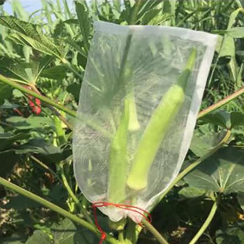 Nylon-Netzbeutel, Obst-Insektenbeutel, Vogelbeutel, Reis-Einweichbeutel, Samenbeutel, Zuchtbeutel, Garn-Netzbeutel, Absacken