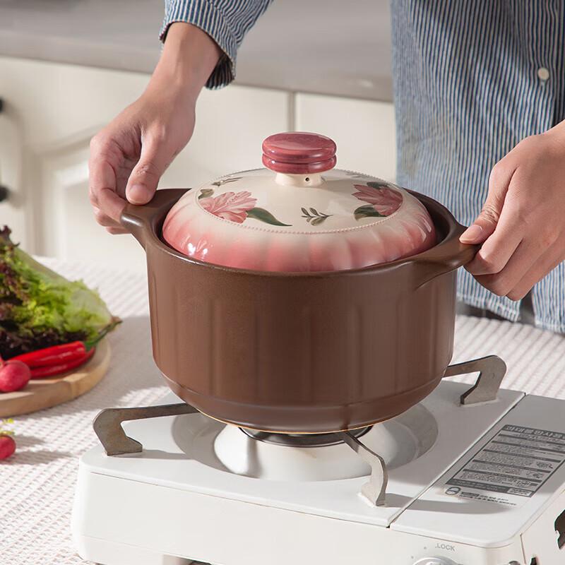 DuPont Slow Cooker Health Pot 3L