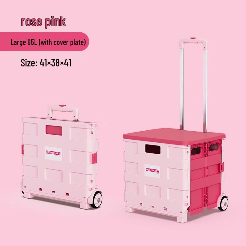 Portable Folding Two-Wheel Plastic Shopping Cart