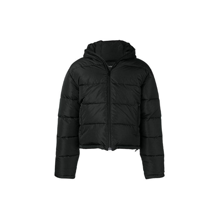 Balenciaga Down Hooded Puffer Coat 556231TYD331000