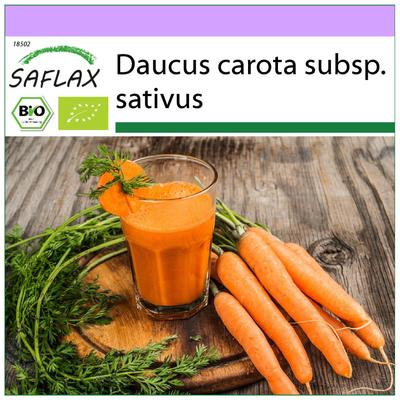 Organic - Carrot - Early Nantes - 1500 Seeds - Daucus Carota