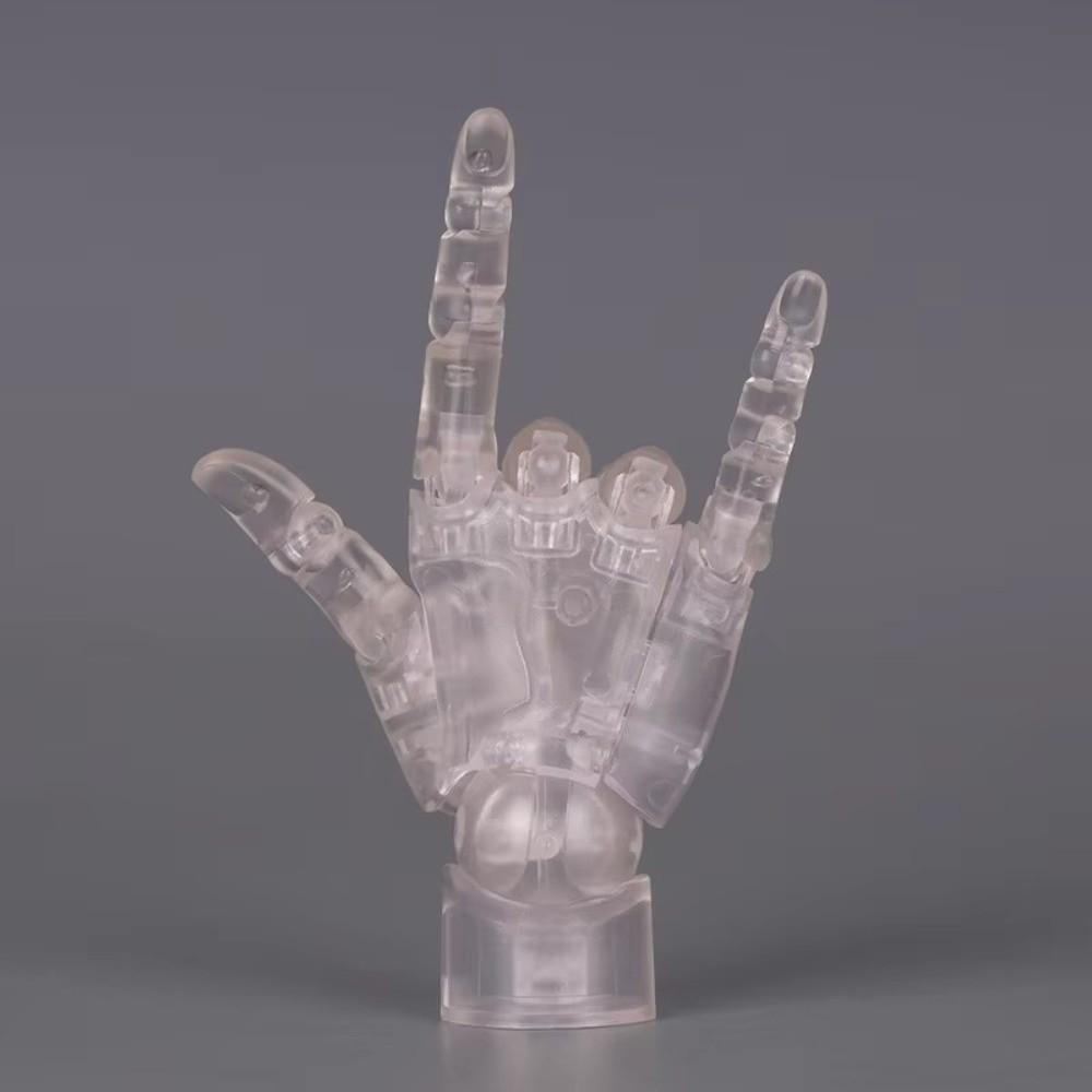 1:2 Scale Human Hand Model Mini Size Twisted Egg Design Palm Model With Posable Fingers Movable Joints Simulation Palm