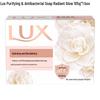 Detox & Antibacterial Moisturizing Soap