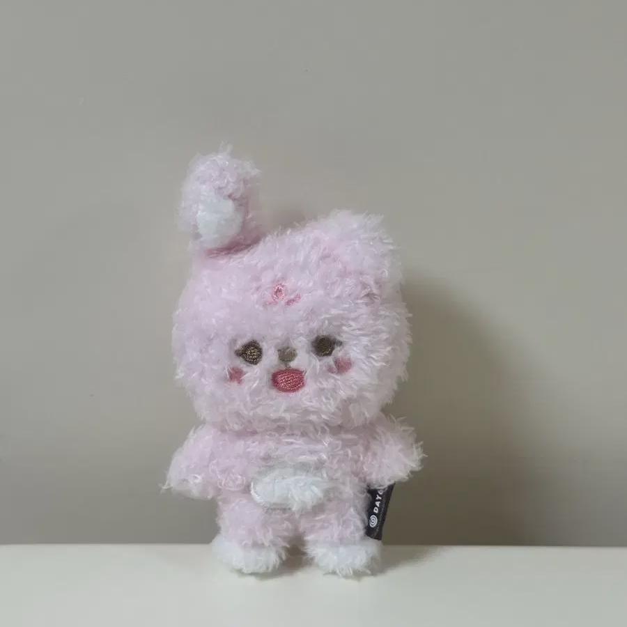 

DAY6 Питомец Магнит Чувство