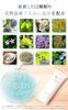 TESARAN UV Daily Protect, Medicated, Non-Chemical Sunscreen for Face, Tone-Up Effect, Makeup Base, Sunscreen Cream, 60g, Quasi-drug, Waterproof, UV