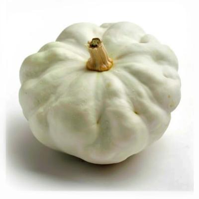 15 Semi di Zucca Patisson Bianca