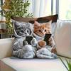 1 Modern Style Cat Pillow Cover - Gray and Orange Kitten with Smartphone Pattern, Soft Polyester Decorative Cushion Case, Zipper Closure Machine Washa