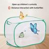 Insecte – Terarii pentru insecte