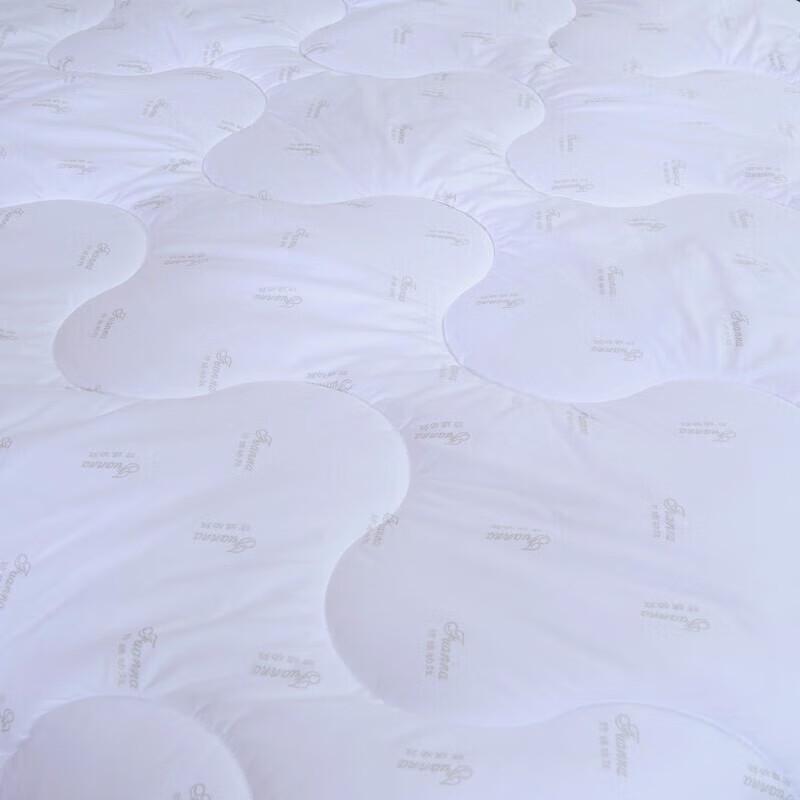 FUANNA Autumn/Winter Anti-Mite Antibacterial Quilt