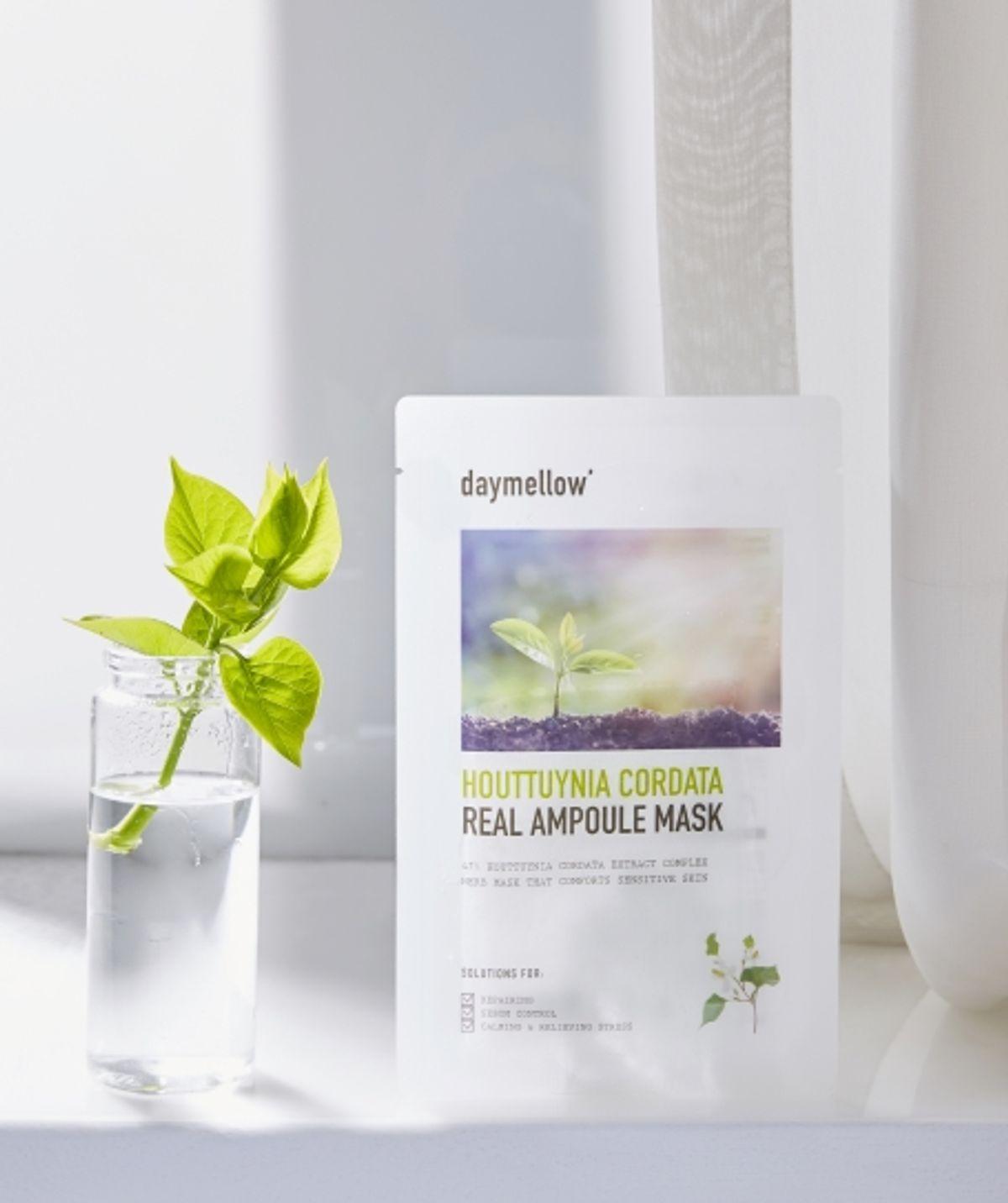 Houttuynia Cordata Real Ampoule Mask Pack (5 sheets)
