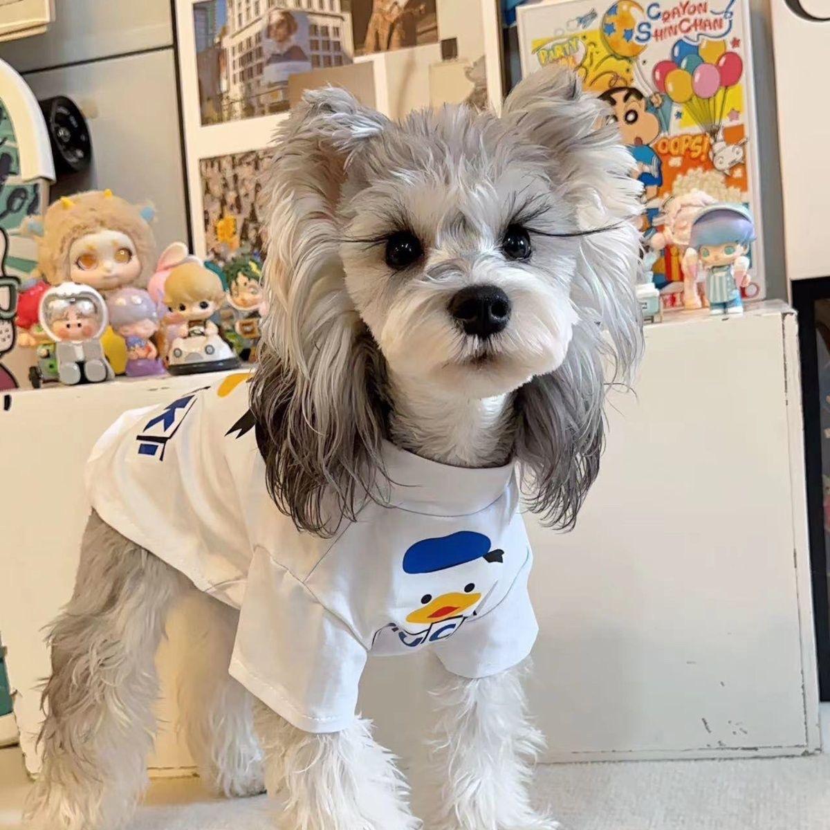 

Одежда для собак Футболка для Тедди Бишон Шнауцер Кошки костюм Pet Весна Лето Футболка Дышащая Одежда Чихуахуа XL