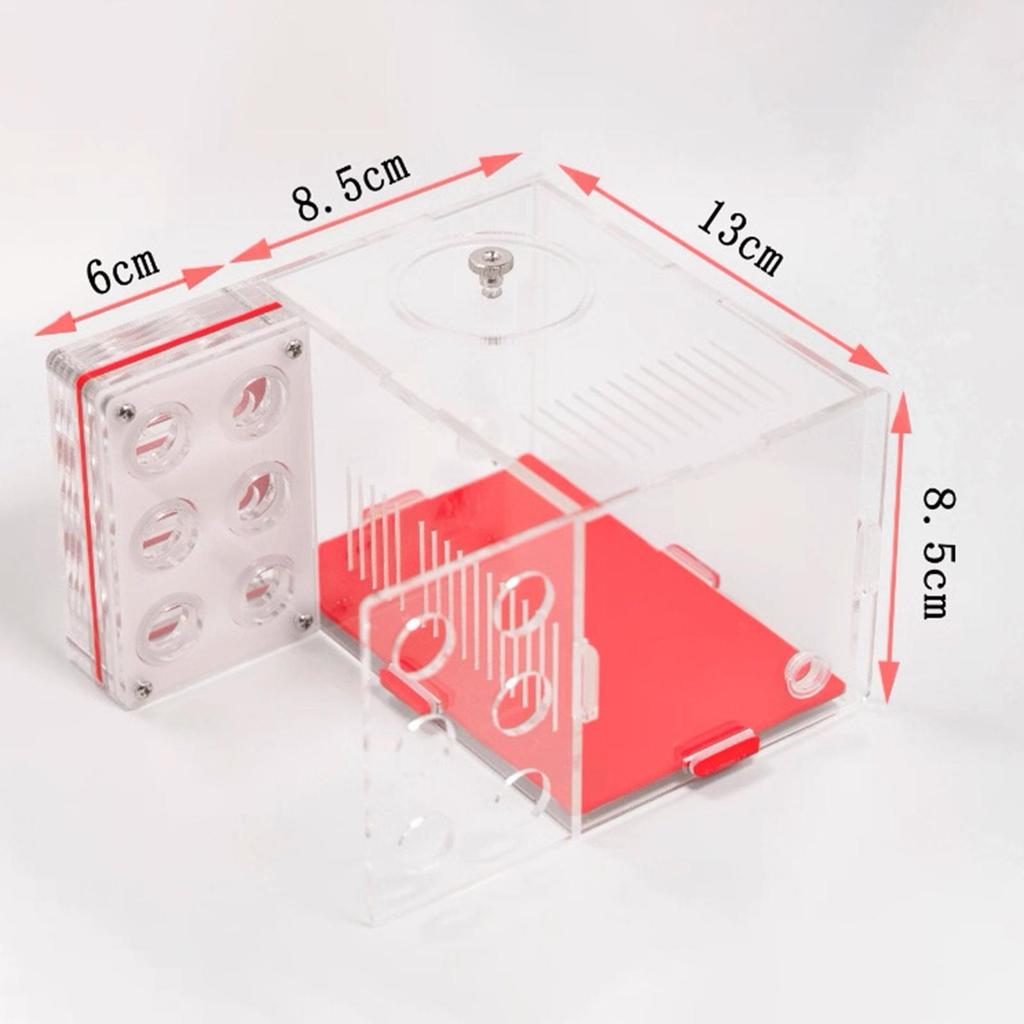 ANT Housing Nest Moisture ANT House Nest Box Easy to Assemble DIY Clear Acrylic Farm Villa Farm ANT Castle for Children's Day
