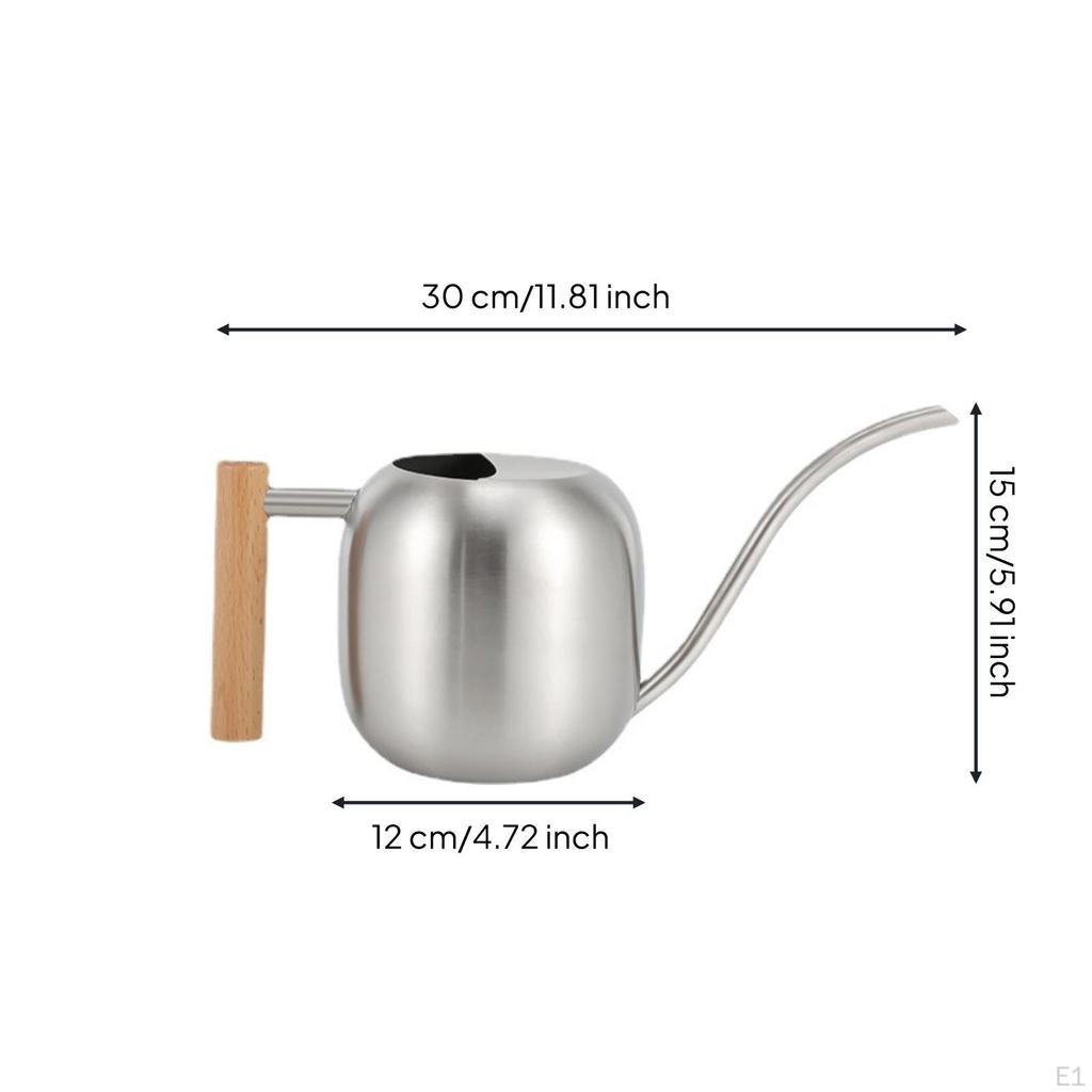 Stainless Steel Watering Can Modern with Wooden Handle Silver Vessel for Plant Lovers,