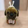 Used Tosa Inu Stuffed Animal, Tosa Fighting Dog Center, Height 20 Cm, Length 32 Cm
