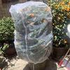 Plant Mesh Cover for Garden Protection Bird Netting Drawstring Insect Barrier Netting with Zipper for Blueberries Tomatoes Lemons Small Fruit Trees